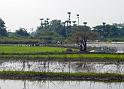Burma III-082-Seib-2014